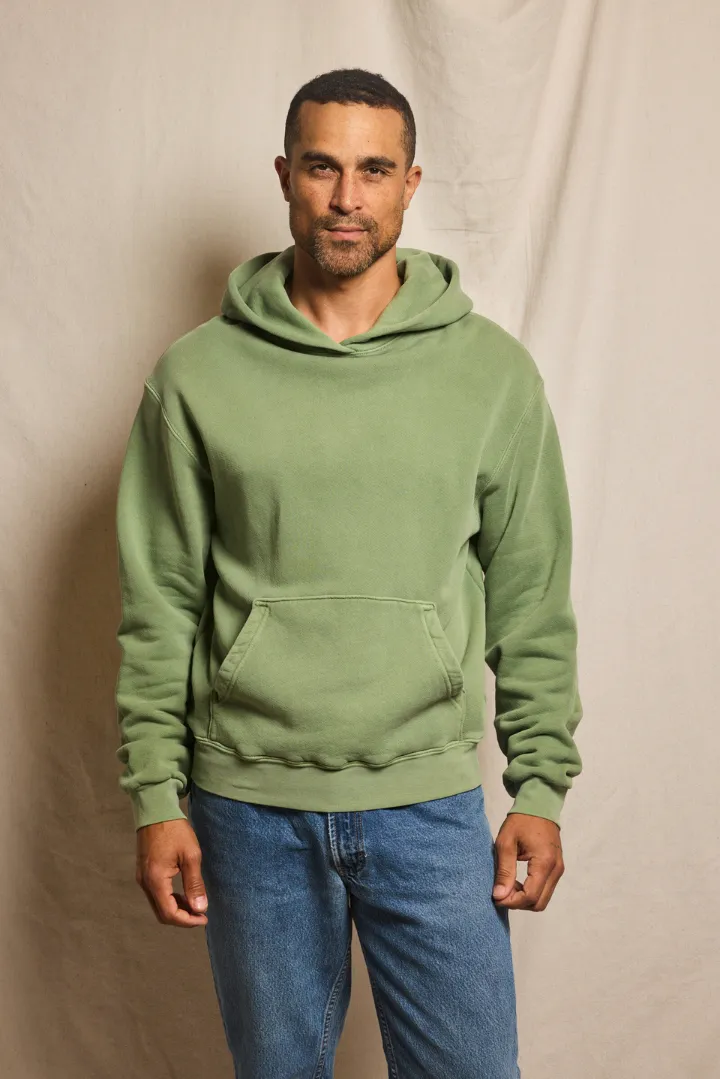 shep - Image 30